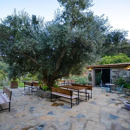 Hotel Kirkinca Selcuk