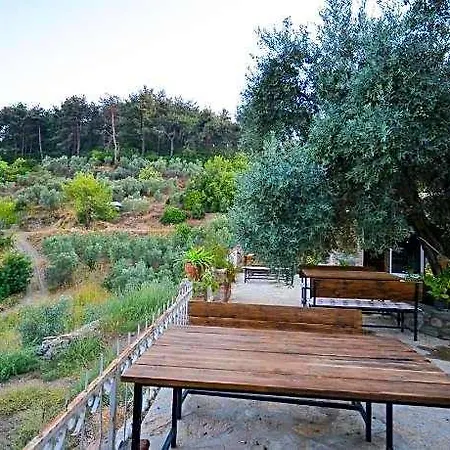 Kirkinca 3* Selçuk