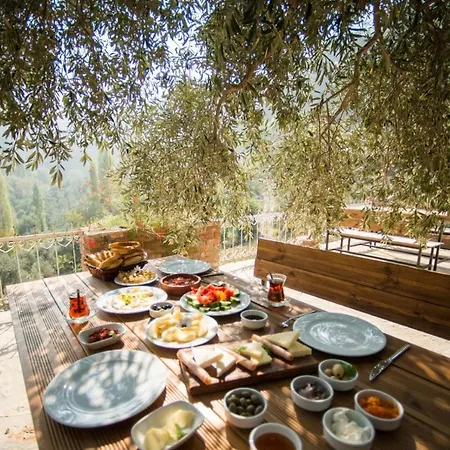 キルキンチャ セルチュク